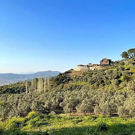 Ξενοδοχείο Ephesus Retreat