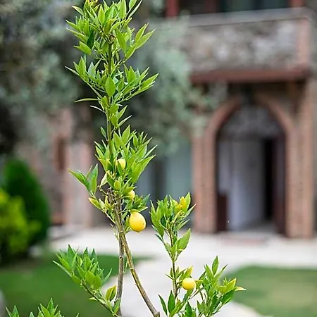 Ephesus Retreat Ξενοδοχείο Gaziemir