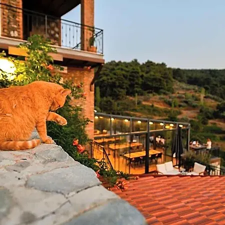 Ξενοδοχείο Ephesus Retreat
