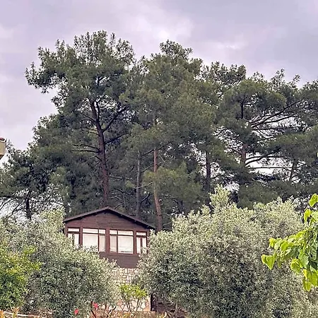 Ephesus Retreat Ξενοδοχείο