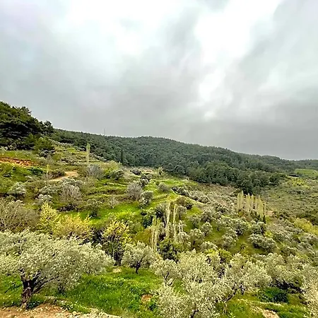 Ephesus Retreat Ξενοδοχείο Gaziemir